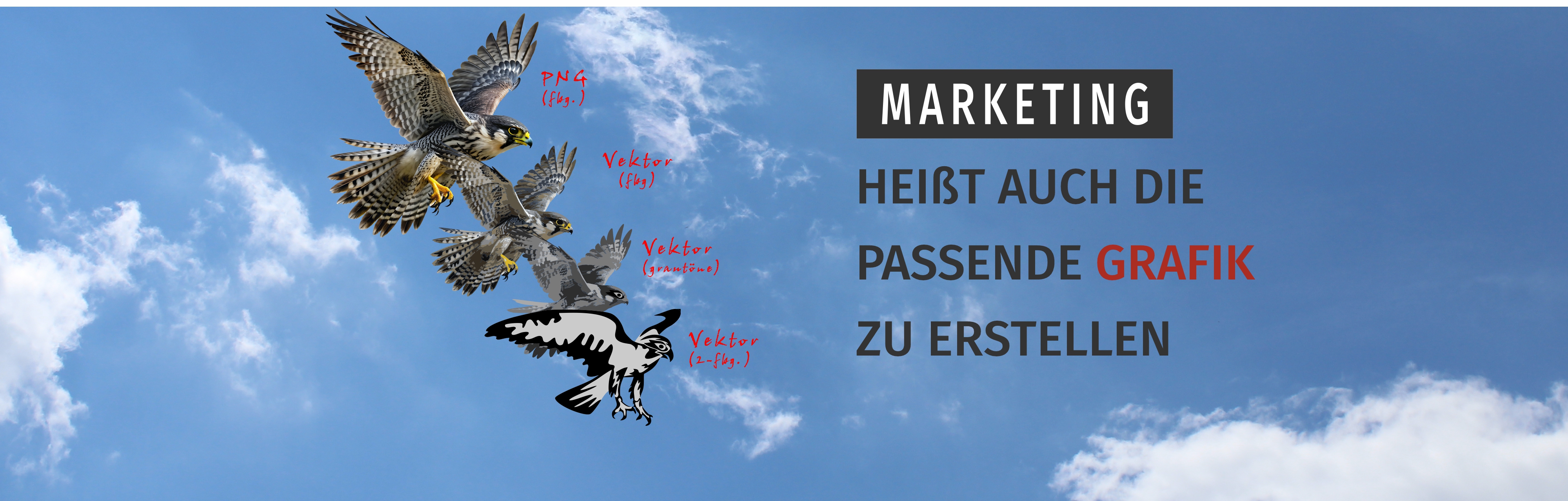 Himmelbild mit Falke und Text