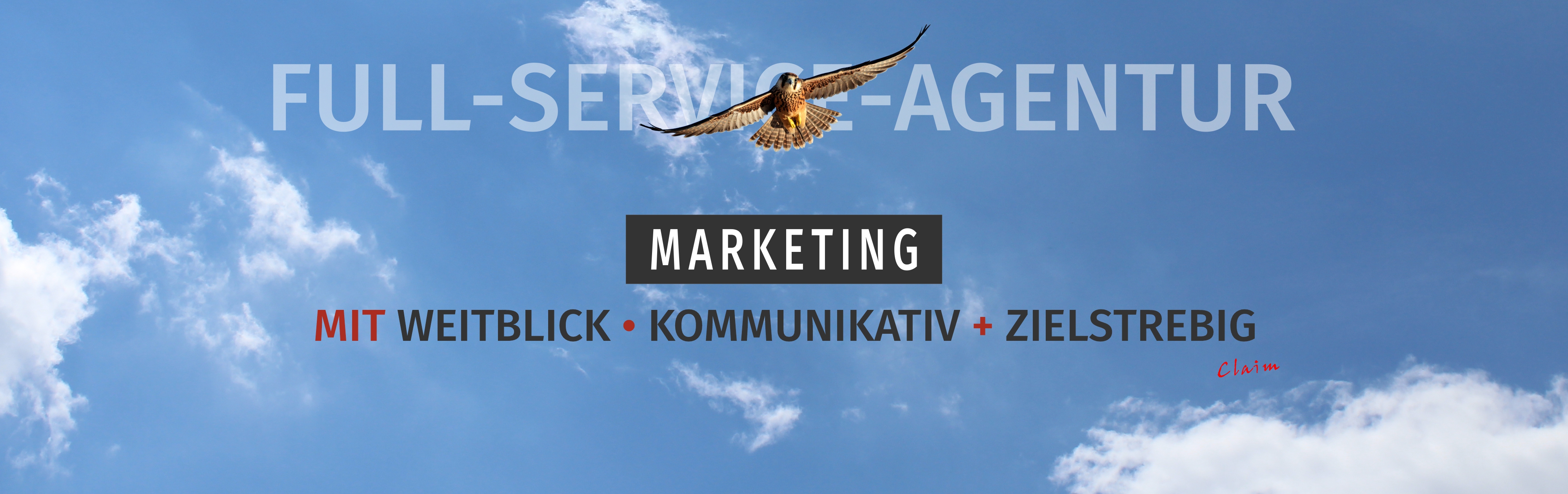 Himmelbild mit Text und Falke